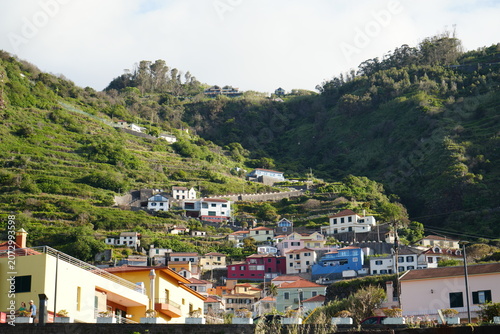 Colorful Traditional Houses on Steep Terraced Hillside Madeiran