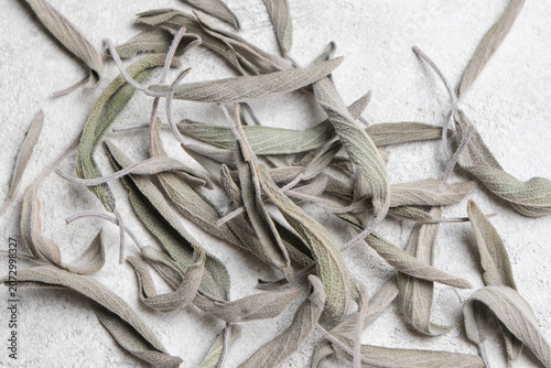 Pile of dried sage herb leaves displayed on a textured gray background, highlighting their distinct shape and color, suitable for culinary or medicinal applications