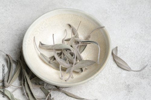 Dry organic sage herb leaves in stylish ceramic bowl on textured gray surface, with scattered leaves