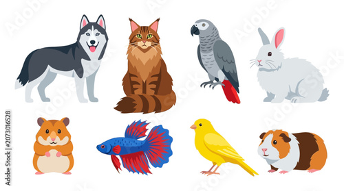Set of various popular domestic pets including dog cat parrot rabbit hamster fish canary and guinea pig.