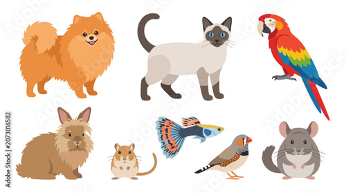Set of various popular domestic pets illustrated in a flat cartoon style.