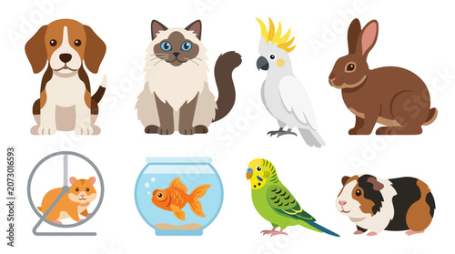 Collection of various popular domestic pets illustrated in a flat cartoon design style.