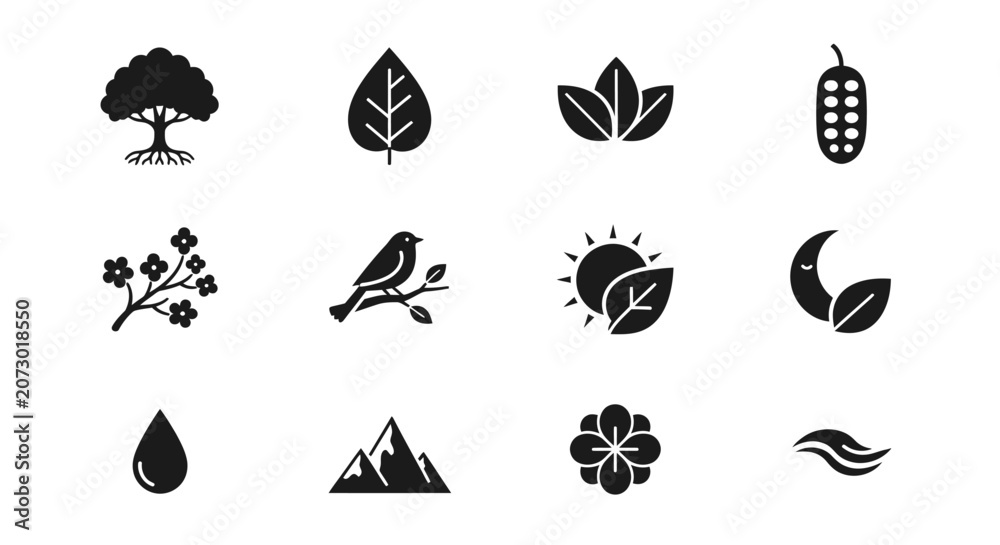 Fototapeta premium Collection of nature and organic elements icons vector set