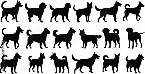 Black silhouette illustrations of diverse dog breeds and poses, showcasing canine forms, tail shapes, and ear positions