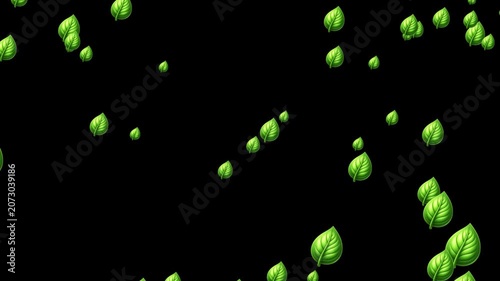 floating green leaves on black background, nature botanical elements and eco design decoration overlay