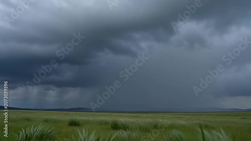 In a thunderstorm over the grasslands and open fields, lightning strikes cumulonimbus clouds, creating forked static filaments in the air that linger low and dissipate. 