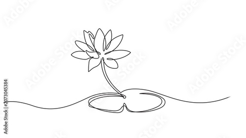 Lotus Water Lily continuous one line drawing animation, Lotus flowers on the leaves of water lilies, animated self drawing of single continuous line, contour movement, video drawing line in 4k