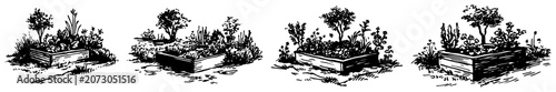 Raised wooden garden beds with soil and growing plants in vintage sketch style