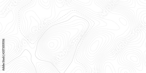 Stylized topographic contour map with space for text. Abstract lines and wavy background.Pattern of contour lines. Abstract vector illustration.
