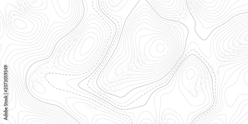 Stylized topographic contour map with space for text. Abstract lines and wavy background.Pattern of contour lines. Abstract vector illustration.