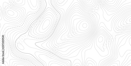 Stylized topographic contour map with space for text. Abstract lines and wavy background.Pattern of contour lines. Abstract vector illustration.