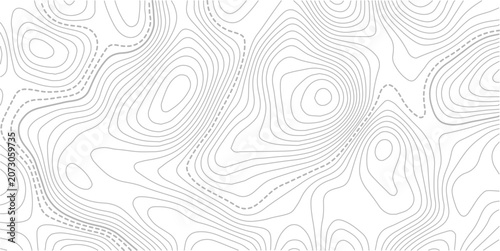 Stylized topographic contour map with space for text. Abstract lines and wavy background.Pattern of contour lines. Abstract vector illustration.