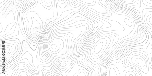 Stylized topographic contour map with space for text. Abstract lines and wavy background.Pattern of contour lines. Abstract vector illustration.