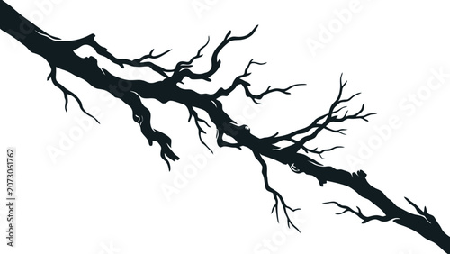 Black tree branches with intricate pattern