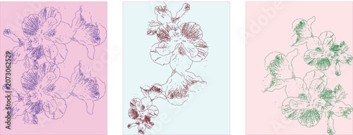 Foto Floral line art illustrations set with stylized orchid flowers in various color