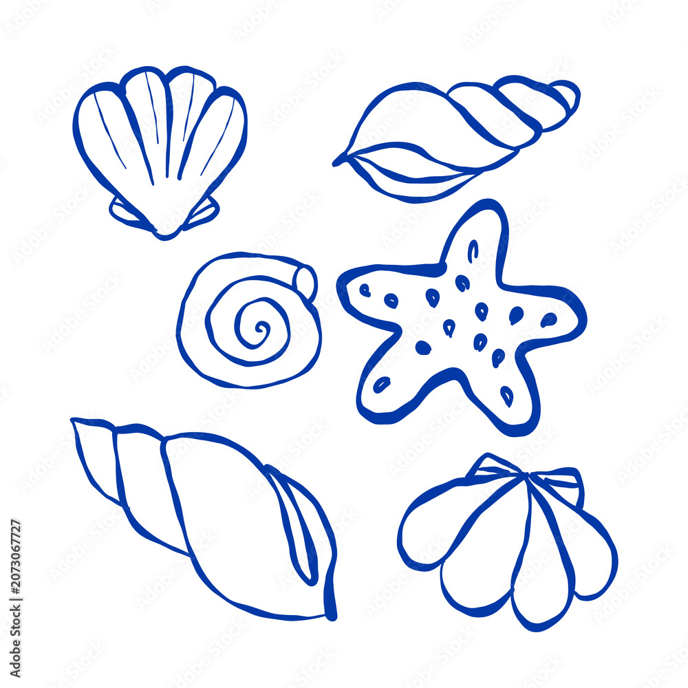 Fototapeta premium Blue line art sea shells and starfish collection. Hand drawn vector marine elements vector set isolated on white background.