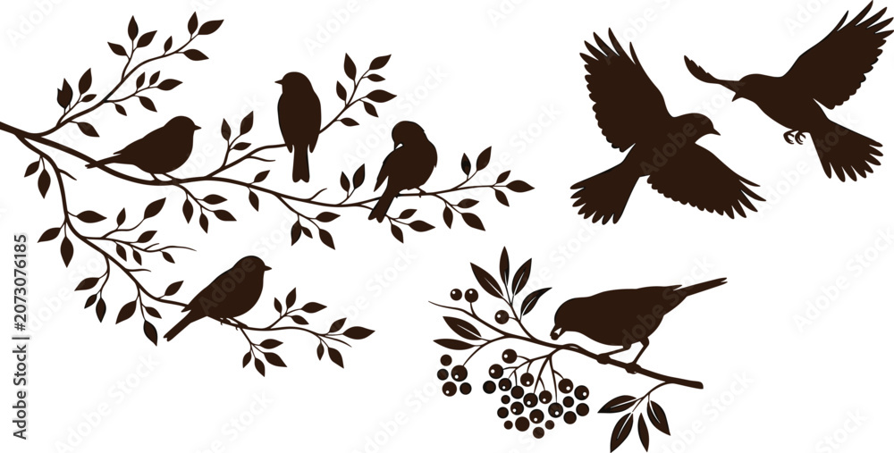 Fototapeta premium Bird Silhouette Illustrations on Branches with Leaves and Berries for Elegant Nature and Decorative Design Concepts
