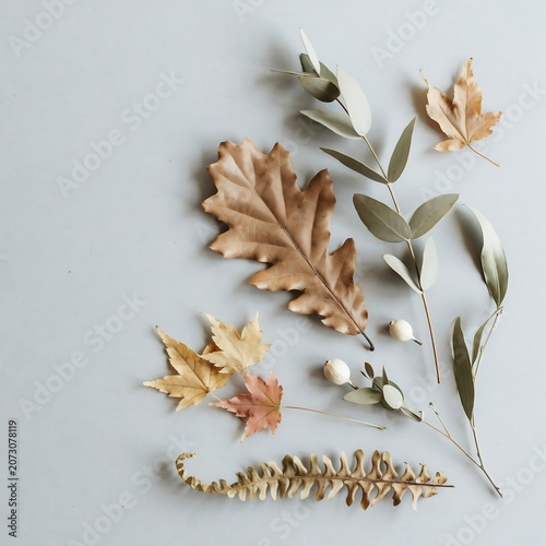 Botanical Flat Lay with Dried Oak and Maple Leaves on Gray Background.