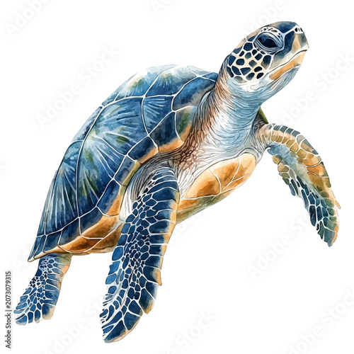 Fotografi Sea Turtle, illustration watercolor with playful splashes and delicate line details, isolated on a white background