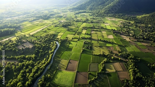 Expansive green agricultural fields and a winding river seen from above on a sunny spring day