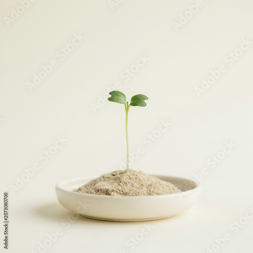 Minimalist concept of a green sprout growing from sand on a white plate representing growth.