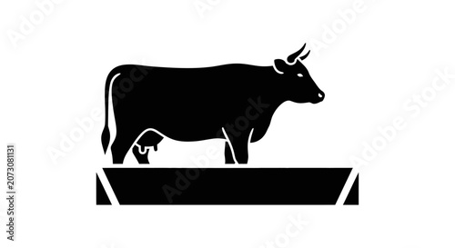 Cuadro en lienzo Cow stands calmly at a feeding trough in a rural farm setting during the daily livestock management routine