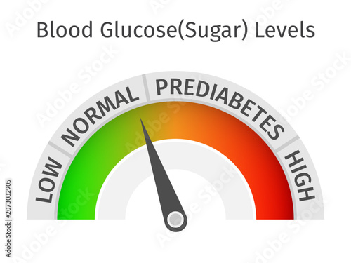 Blood Glucose Sugar Level Indicator Gauge Infographic. Vector medical graphic for health education, diabetes management, medical reports, and wellness app interfaces