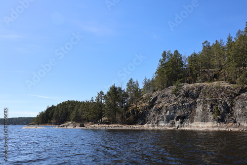 Northern landscape. National park. Forest on the crag. Ladoga lake. Spring. Republic of Karelia - Russia. Lahdenpohja. 
