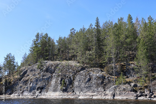 Northern landscape. National park. Bay of water and forest on the crag. Spring. Republic of Karelia - Russia. Lahdenpohja. 
