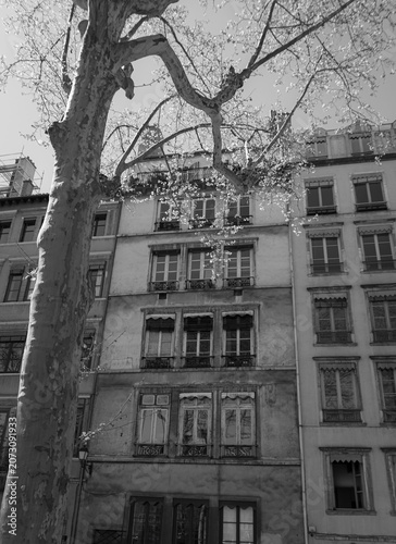 View of the architecture of the famous city of Lyon in France