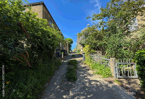 A narrow pathway on Dole Street winds upward, flanked by lush greenery on both sides, leading to a bright blue sky. Sunlight bathes the scene, casting gentle shadows in Thornton, Bradford, UK.