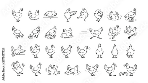 Obraz na plátně Charming chicken line art vector set, 35 hand-drawn hen illustrations, various p