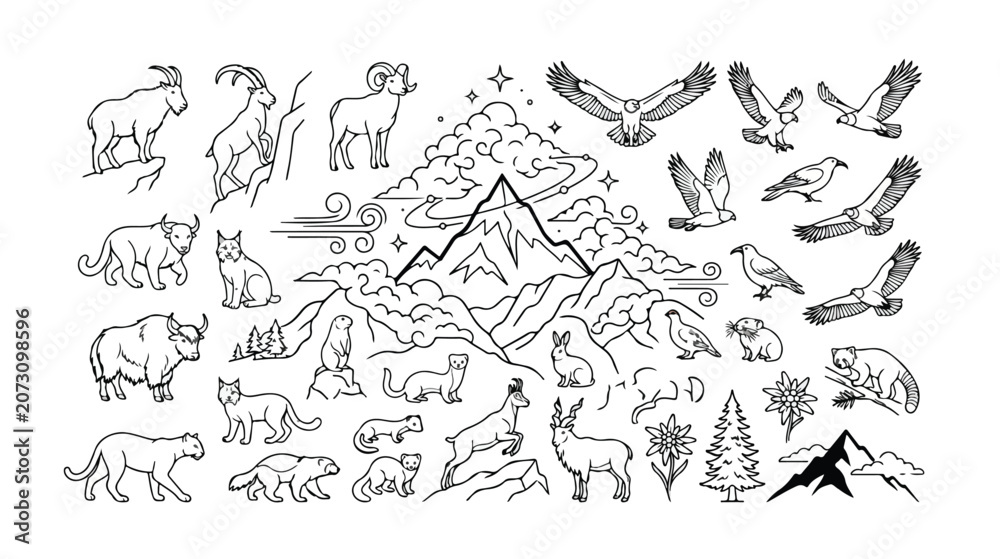 Fototapeta premium Mountain wildlife vector collection, hand-drawn alpine animals and birds, nature-inspired line art illustrations, outdoor adventure graphic resources.