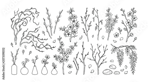 Delicate hand-drawn botanical vector set, elegant floral branches and blooming twigs, natural spring blossom illustrations, decorative plant elements for design projects