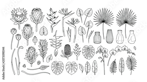 Exotic tropical plants and flowers vector collection, hand-drawn botanical illustrations, black and white line art set, natural floral elements for design, summer, and vacation themes