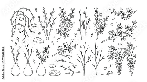 Spring botanical vector collection, delicate hand-drawn floral elements, blooming cherry blossoms, willow branches, and decorative vases, perfect for nature-inspired designs and seasonal