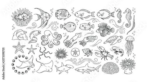 Oceanic marine life vector icon set, hand-drawn sea creatures collection, underwater animal illustrations for aquatic themes, black and white line art graphics for educational or decorative