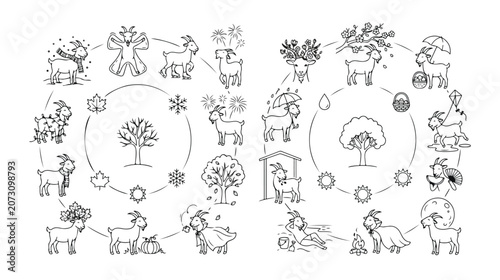 Goat life cycle vector illustration, seasonal changes of a goat, farm animal growth and development, nature's rhythm and agricultural themes, educational graphic resource