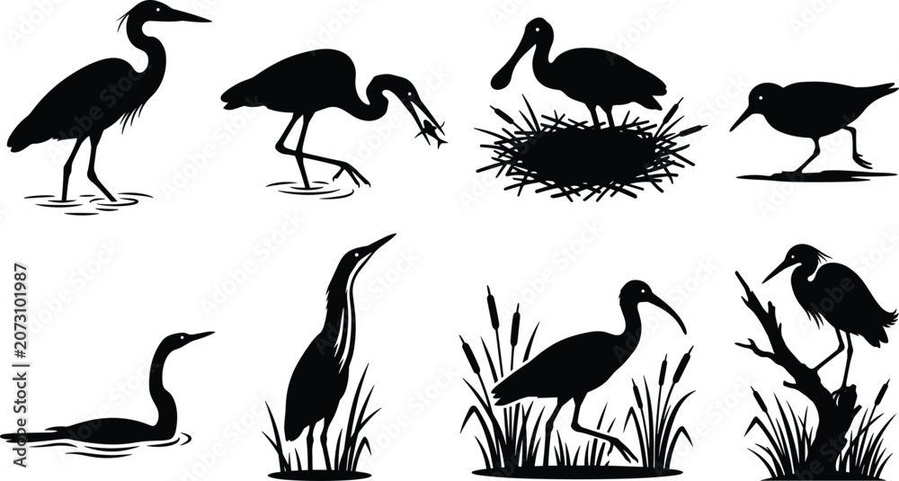 Obraz premium Collection of wetland water bird silhouettes featuring heron, egret, and ibis in natural habitats