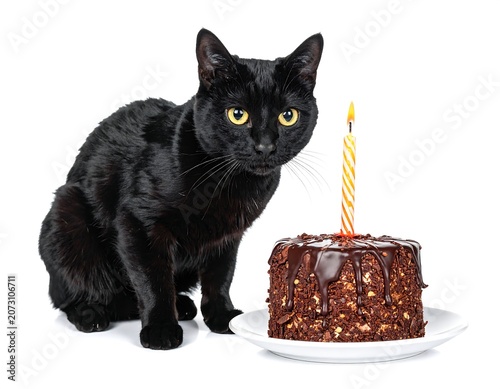 A black cat sitting beside a chocolate cake with a lit candle on a white plate