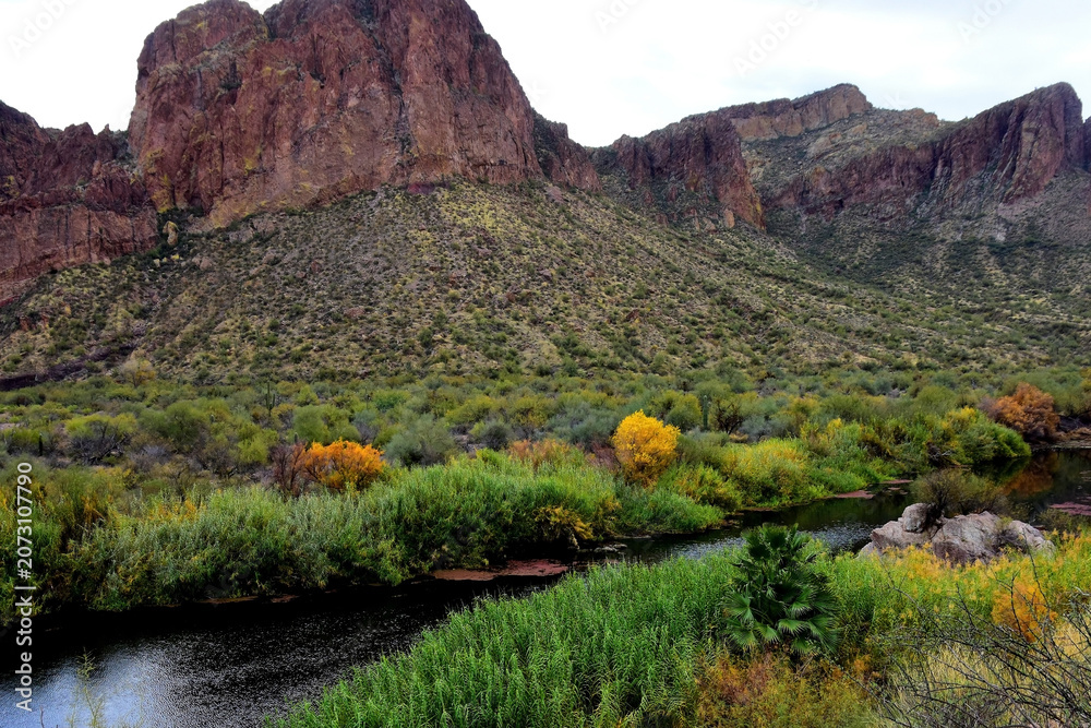 Obraz premium Salt River Recreation Area Arizona