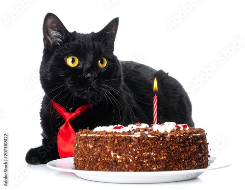 A black cat wearing a red tie looks at a chocolate cake with a lit candle on a white plate