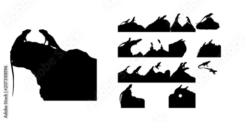Foto Pair Of Lizards On A Sunlit Rock Silhouette