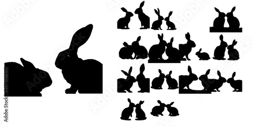 Photos Pair Of Rabbits Touching Noses Silhouette