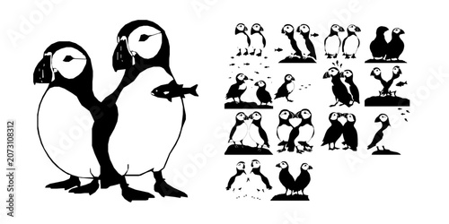 Konstfotografi Pair Of Puffins With Fish Silhouette