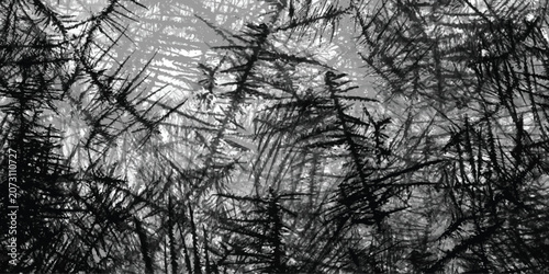 Tablou pe pânză Abstract monochrome pattern featuring dense, intersecting dark lines and jagged,