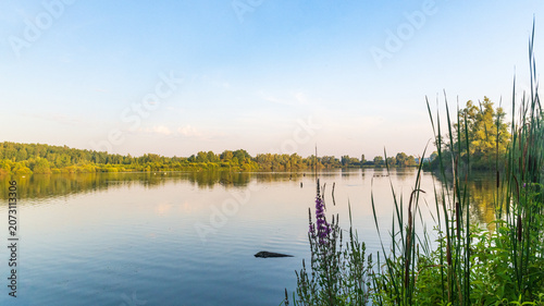 Hidden Wetland Paradise in Belgium