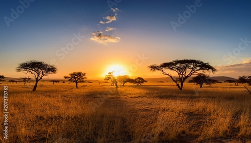 Golden Sunset Over A Vast African Savanna With Acacia Trees Casting Long Shadows On The Dry Grass