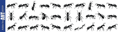 Bilde på lerret Black Silhouette Pattern Of Ants On A White Background