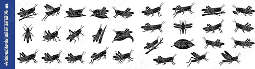 Konstfotografi Grasshopper Silhouettes A Collection Of Black Insect Shapes